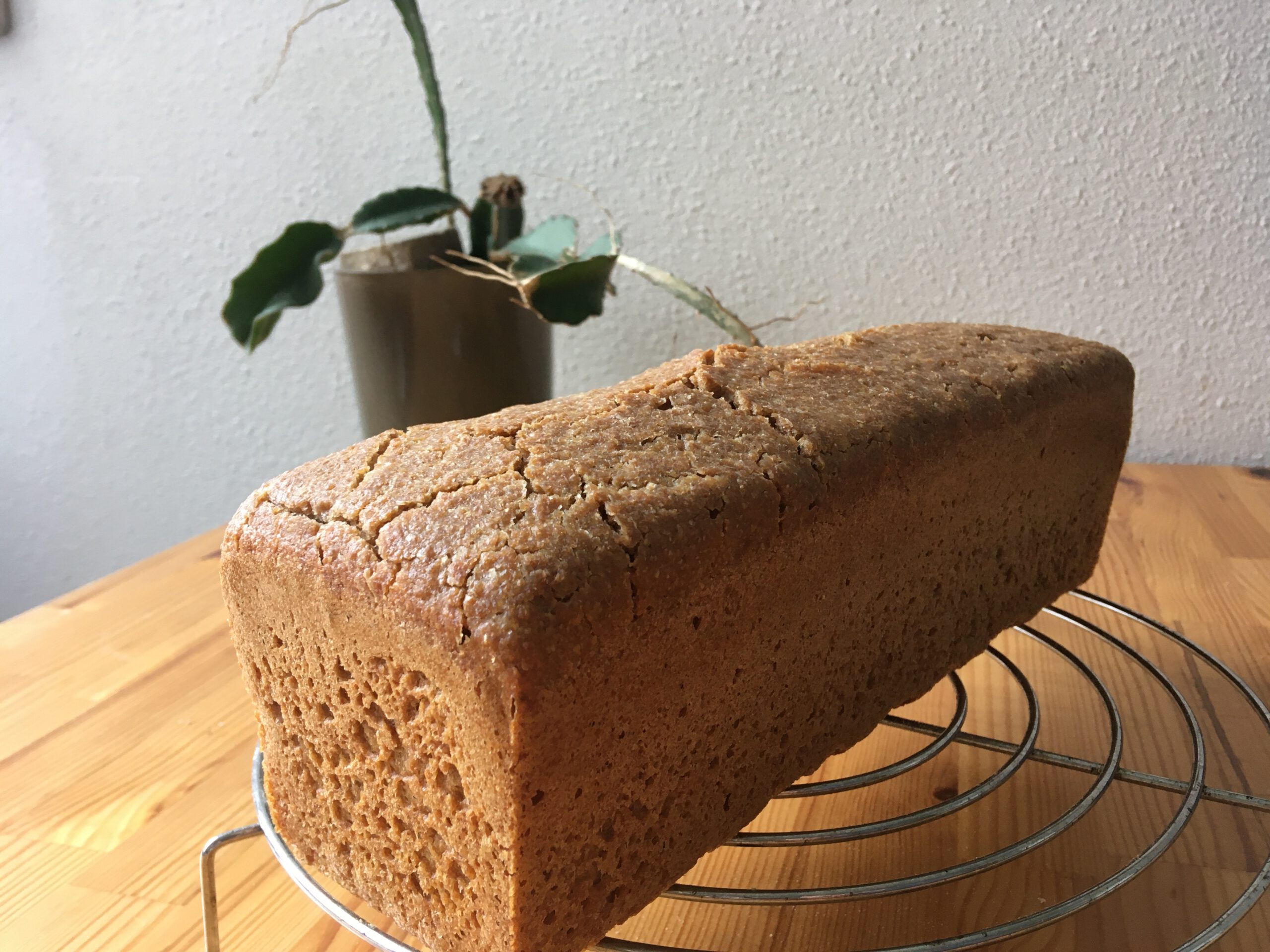 The large (1100gr) einkorn loaf baked in my 'normal' oven with overnight fermentation